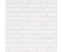 Bright White Subway Tile 2x4 Beveled