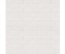 Domino White Glossy Subway Tile 2x4