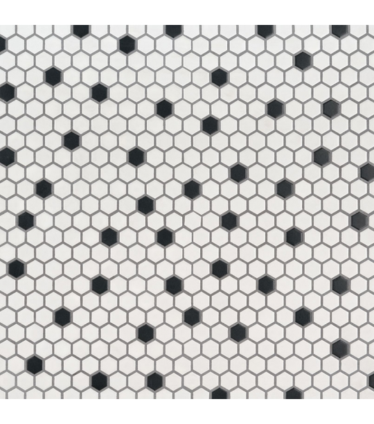 Black And White 1X1 Hexagon Matte