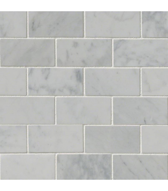 Carrara White 2x4 Tile
